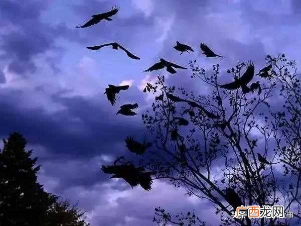 达内有几个校区 北京万寿路达内怎么样