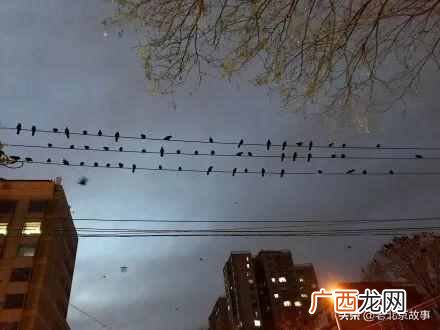 达内有几个校区 北京万寿路达内怎么样