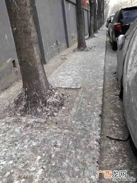 达内有几个校区 北京万寿路达内怎么样