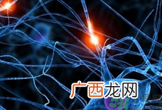 生物免疫疗法的缺点是什么?生物免疫疗法的好处有哪些?