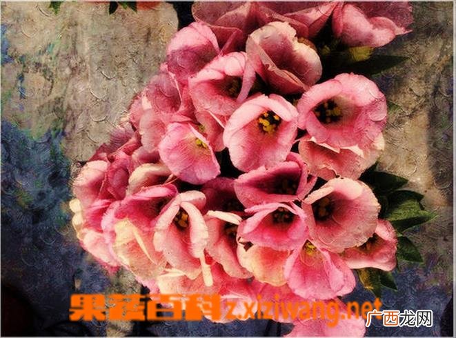 洋桔梗花后的处理方法