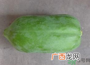 青木瓜是没熟的木瓜吗？青木瓜是什么样子的？
