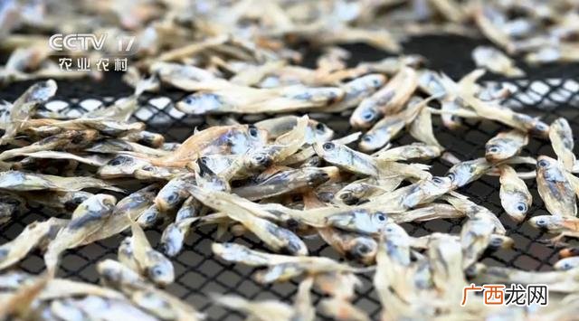 高中毕业想创业能干什么,高中毕业创业做什么好