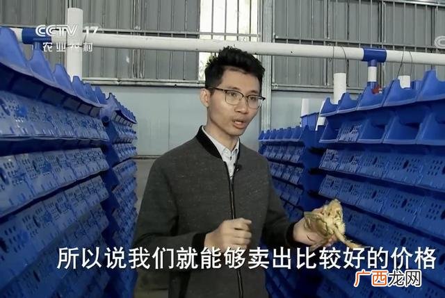 高中毕业想创业能干什么,高中毕业创业做什么好