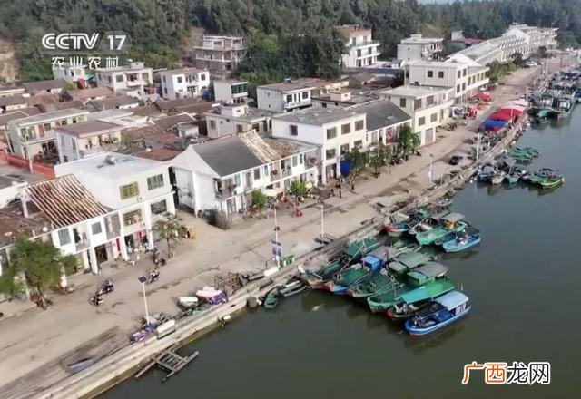 高中毕业想创业能干什么,高中毕业创业做什么好