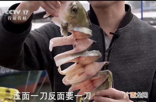 高中毕业想创业能干什么,高中毕业创业做什么好