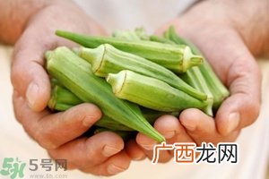 肾病可以吃秋葵吗？肾病患者能吃秋葵吗？
