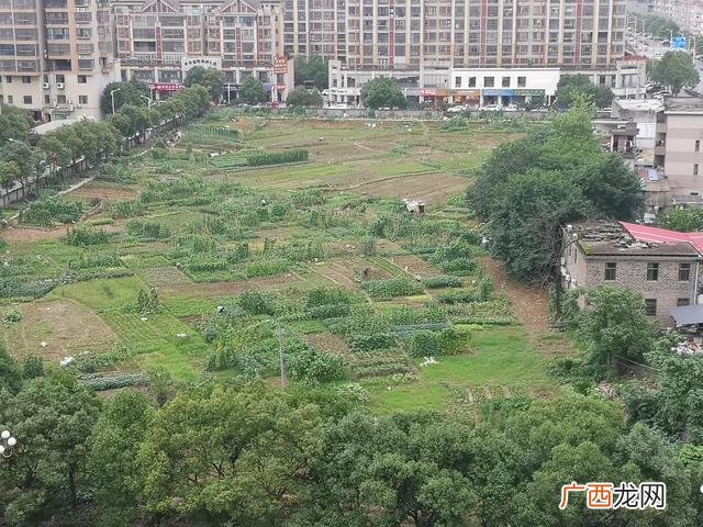 适合小县城的41个投资,2021年最火爆的行业