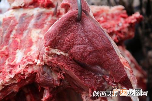 圈养黄牛怎样养 养殖黄牛风险
