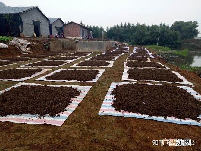 2020年林地可以建养殖场吗 林下种养殖 补贴20万