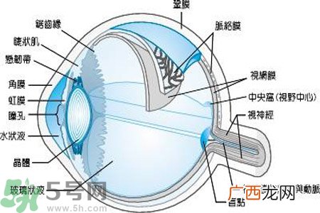 近视眼是什么？近视眼的症状有哪些？
