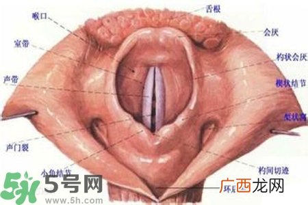 慢性咽炎的发病因素？慢性咽炎的并发症有哪些？