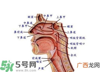 慢性咽炎的发病因素？慢性咽炎的并发症有哪些？