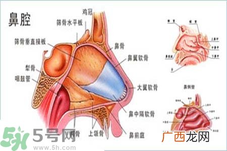 鼻窦炎的护理措施？鼻窦炎的饮食护理？