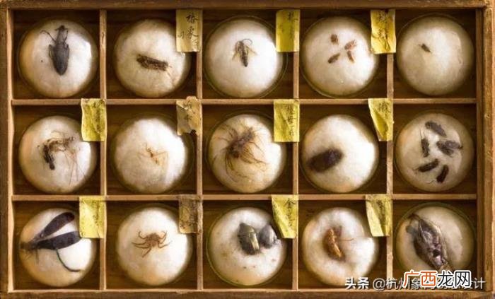 日本今年最美的10个空间 好看的空间
