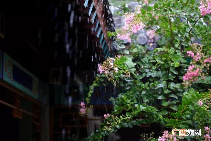 来看看春雨下的齐鲁大地 漂亮的春雨图片