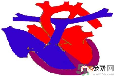 心脏病是怎么形成的？易发人群有哪些？