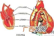 先天性心脏病可以用药物治疗吗？