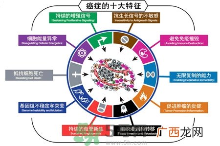 最易患癌的病有哪些？哪些小毛病容易患癌？