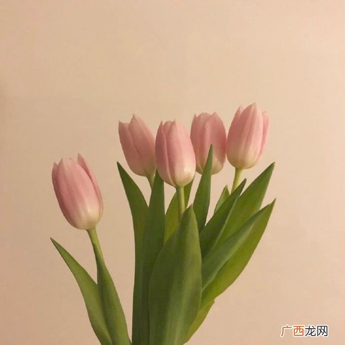 想对男朋友说点心里话，送给男朋友的简短情话