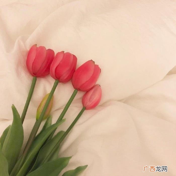 想对男朋友说点心里话，送给男朋友的简短情话