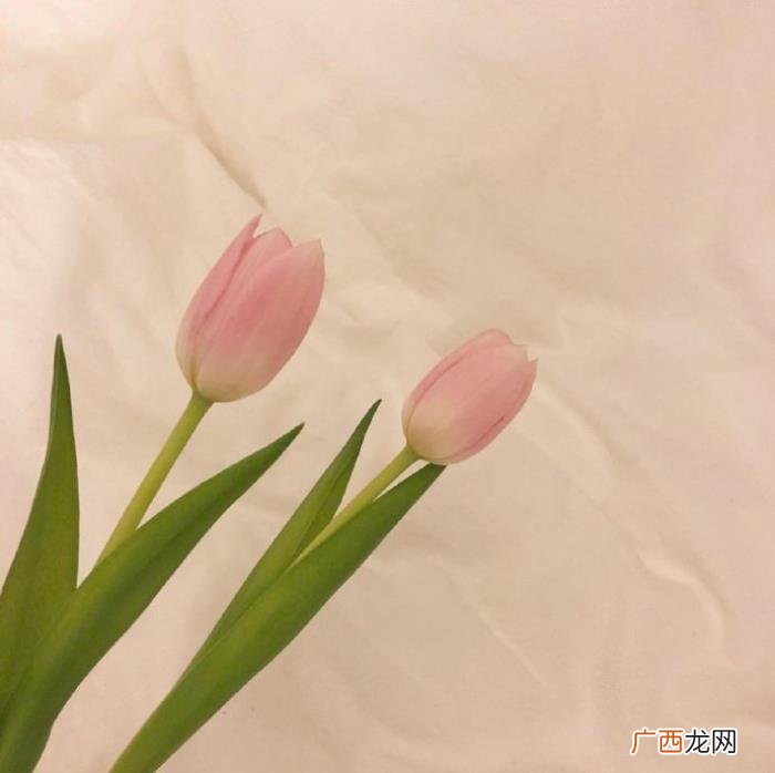 想对男朋友说点心里话，送给男朋友的简短情话