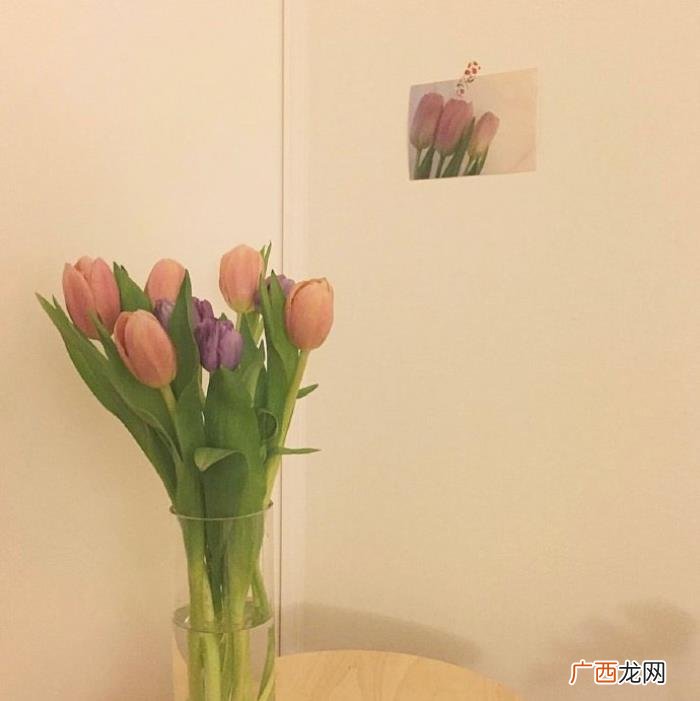 想对男朋友说点心里话，送给男朋友的简短情话