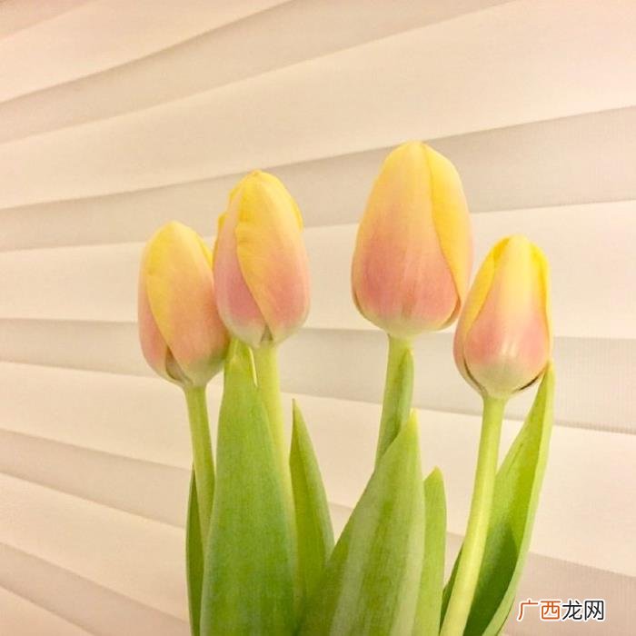 想对男朋友说点心里话，送给男朋友的简短情话