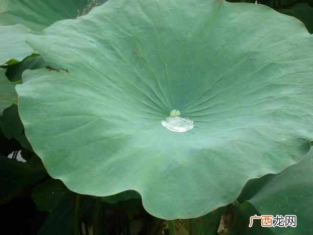 用棉签搓一下就祛斑 怎么才能祛斑不复发