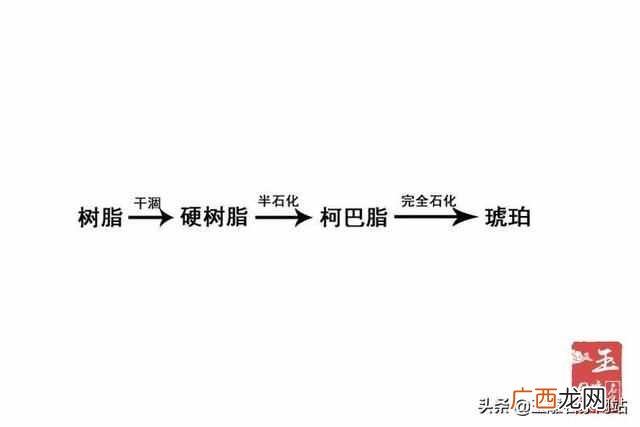 琥珀是怎么形成的过程以(2块钱一克的琥珀原石