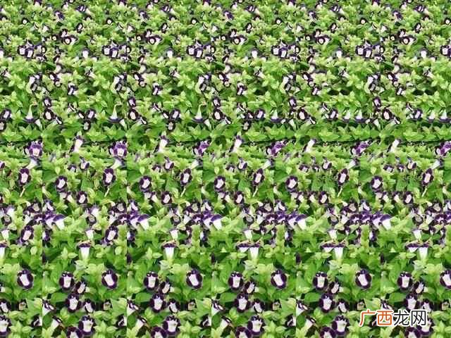 入门三维立体图软件 三维立体图怎么看 简单