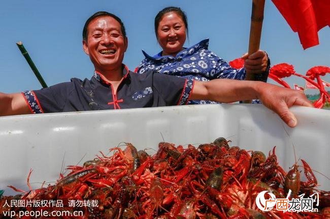 盱眙国际龙虾节 江苏 盱眙县龙虾养殖场