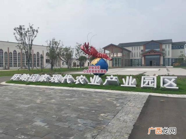 盱眙国际龙虾节 江苏 盱眙县龙虾养殖场