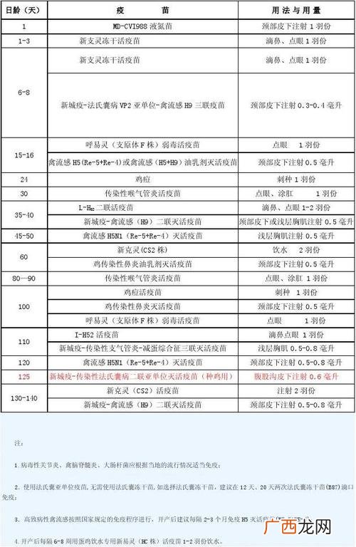 蛋鸡养殖技术与管理 养殖蛋鸡免疫找哪里