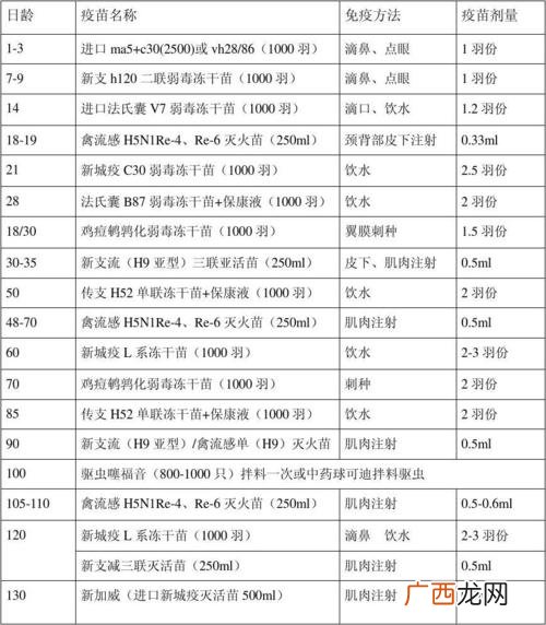 蛋鸡养殖技术与管理 养殖蛋鸡免疫找哪里