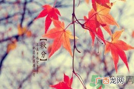 女性秋季防燥需注意哪些？女性秋季防燥吃什么？