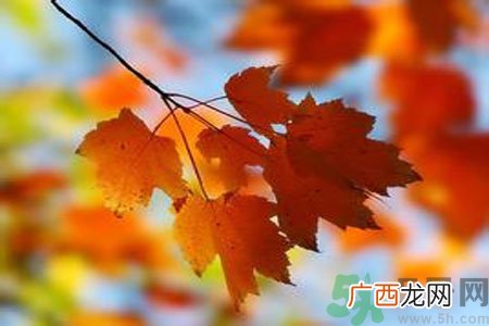 女性秋季防燥需注意哪些？女性秋季防燥吃什么？