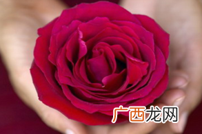 宫颈糜烂会影响生育吗?宫颈糜烂对怀孕有什么影响?
