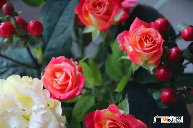 鲜花保鲜展示柜 夏天鲜花怎么保鲜
