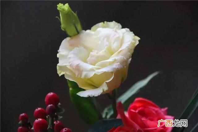 鲜花保鲜展示柜 夏天鲜花怎么保鲜
