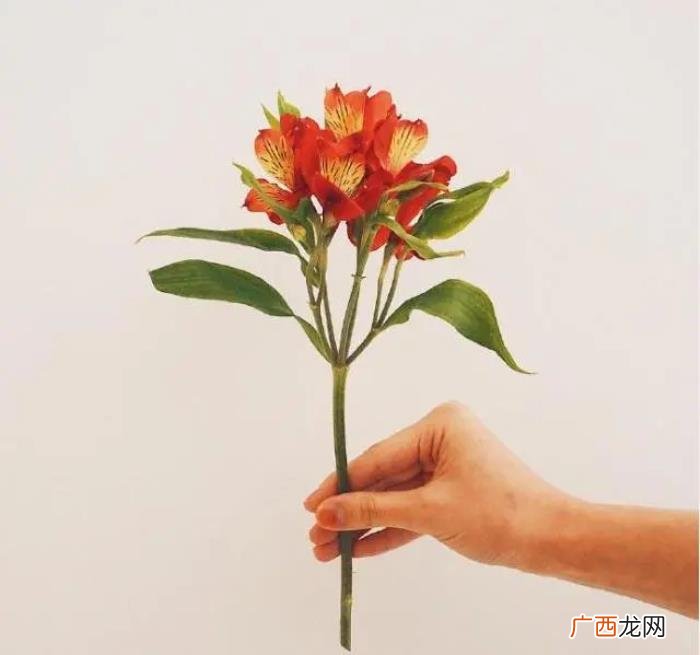 天冷了关心朋友的话 关心人的话