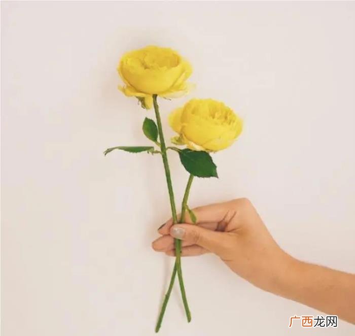 天冷了关心朋友的话 关心人的话