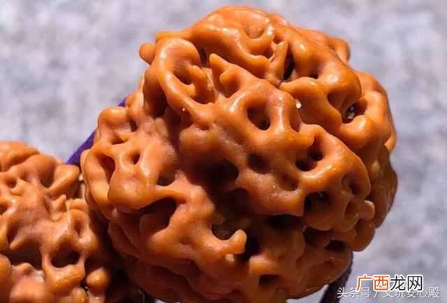 紫金鼠菩提子 金刚菩提子怎么盘红包浆