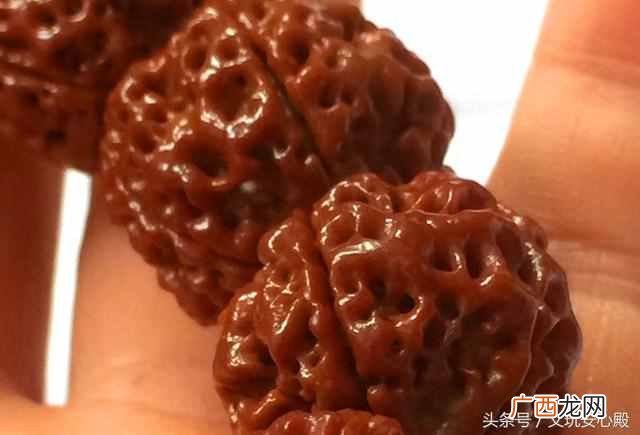 紫金鼠菩提子 金刚菩提子怎么盘红包浆