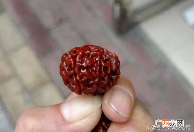 紫金鼠菩提子 金刚菩提子怎么盘红包浆