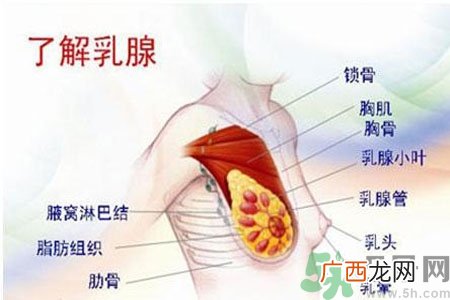 女性乳腺增生的原因是什么？乳腺增生的症状有哪些？