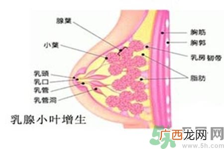 女性乳腺增生的原因是什么？乳腺增生的症状有哪些？