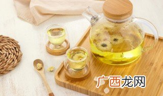 泡菊花一次几朵菊花 泡菊花每次几朵合适