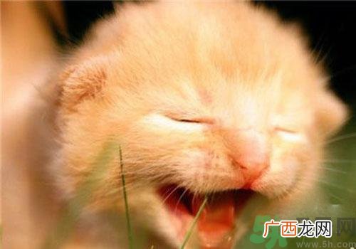 打呵欠骨头响是怎么回事？打哈欠骨头响怎么办？