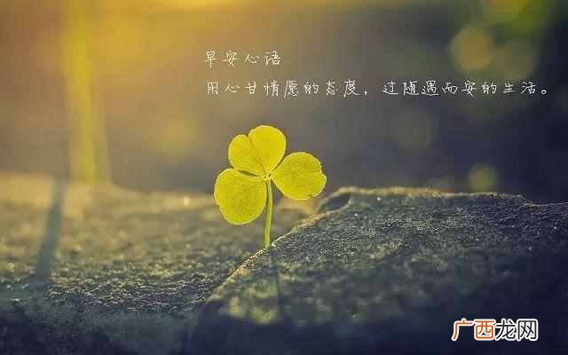 siri无法运行捷径 siri怎么用捷径合组织